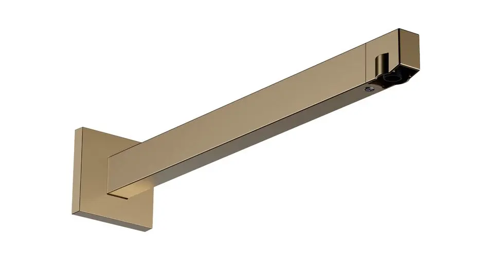 Hansgrohe - Accessories - Zuhanyfej kar - 24337140