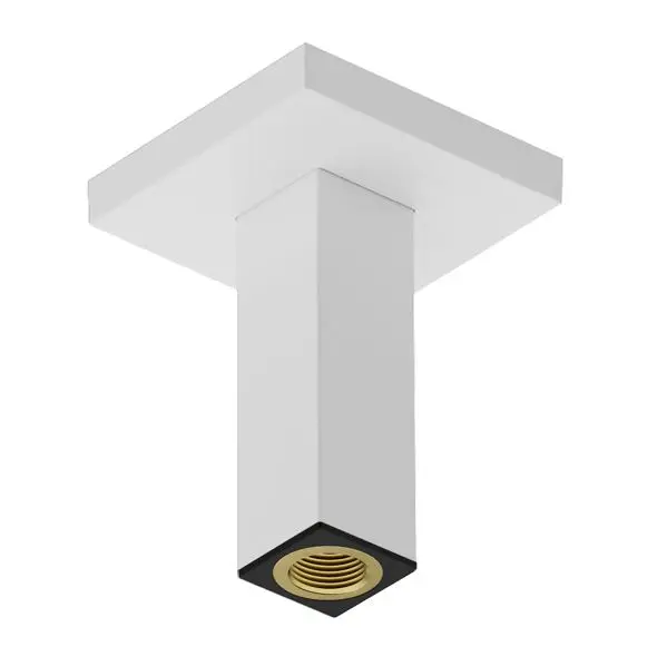 Hansgrohe - Accessories - Zuhanyfej kar - 24338700