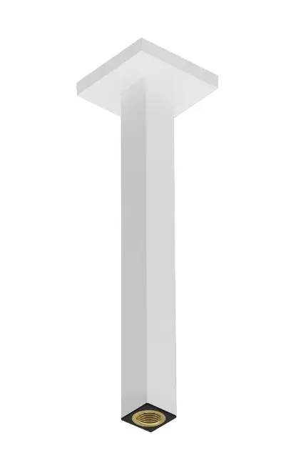 Hansgrohe - Accessories - Zuhanyfej kar - 24339700