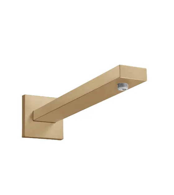 Hansgrohe - Accessories - Zuhanyfej kar - 27694140