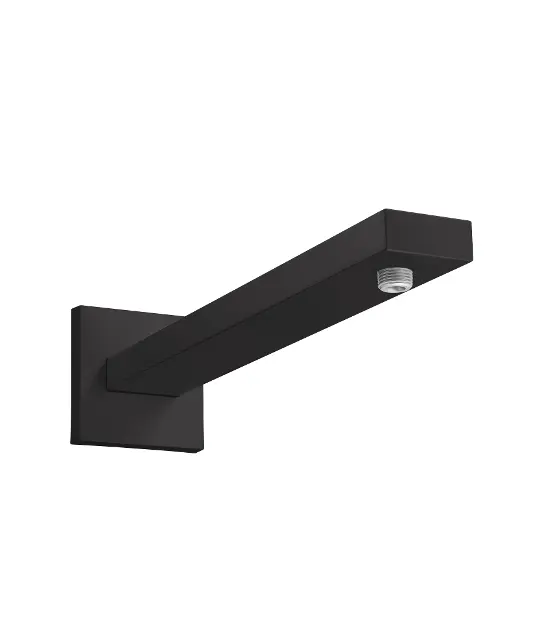 Hansgrohe - Accessories - Zuhanyfej kar - 27694670