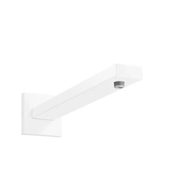 Hansgrohe - Accessories - Zuhanyfej kar - 27694700