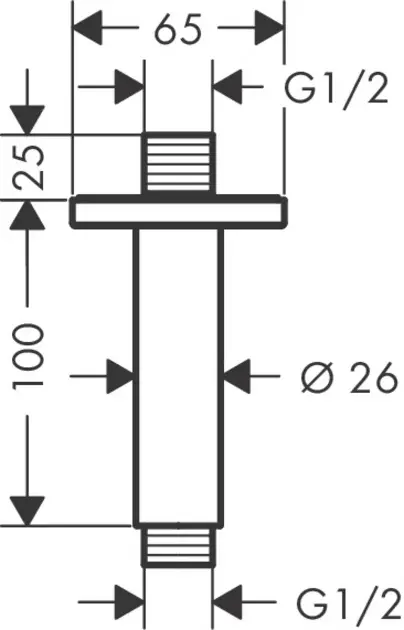 Hansgrohe - Vernis Shape - Zuhanyfej kar - 26406670 – 2. kép